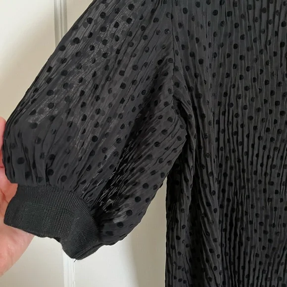 Zara sheer black polka dot short sleeve blouse, NWT, size S - Picture 5 of 8